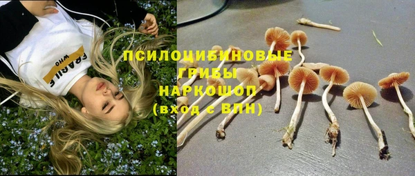 бошки Сосновка